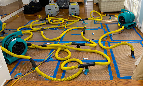 Professional Storm Water Damage Restoration technician working in Purvis, MS
